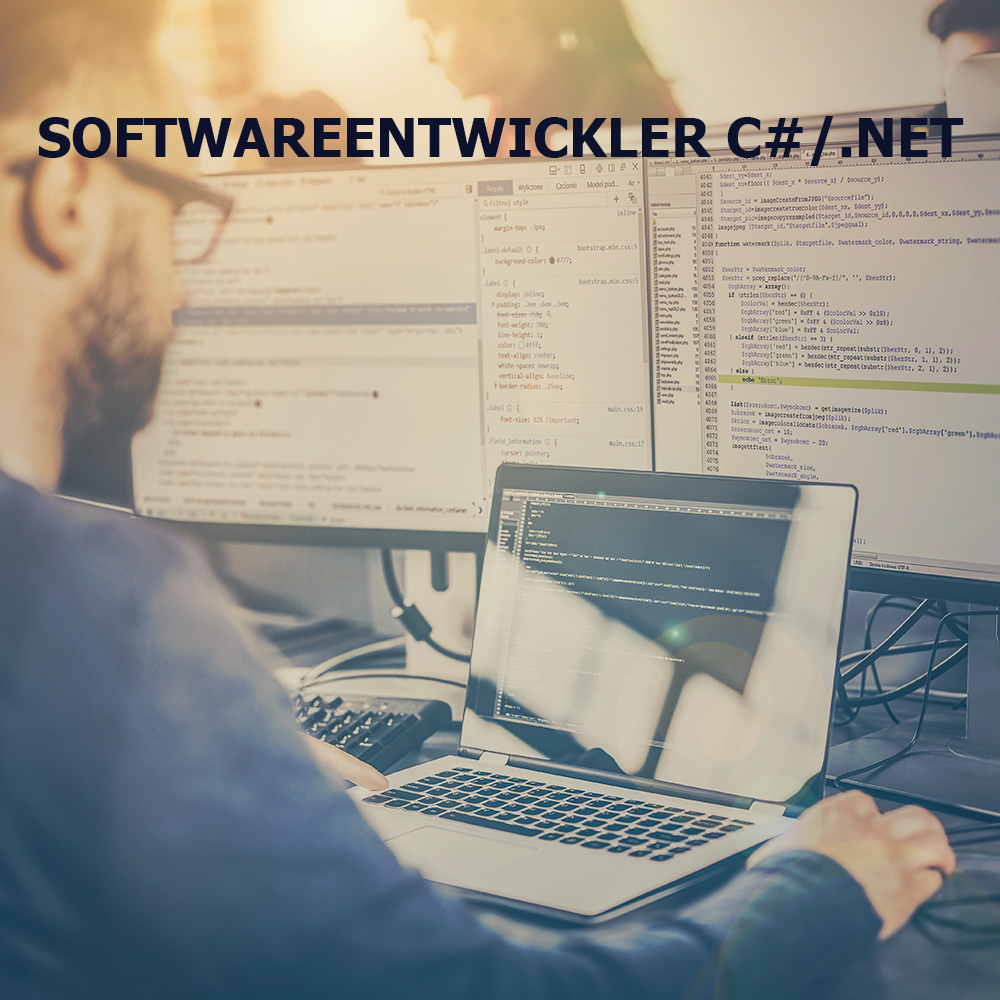 SoftwareentwicklerC#
